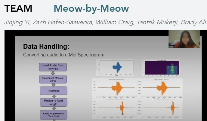 Team presentation slide showing how cat audio is converted to a mel spectrogram